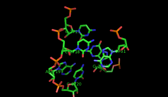 C-loop