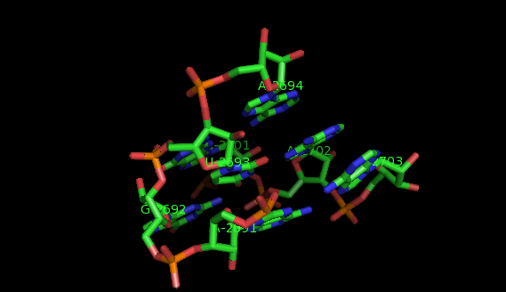 Sarcin ricin